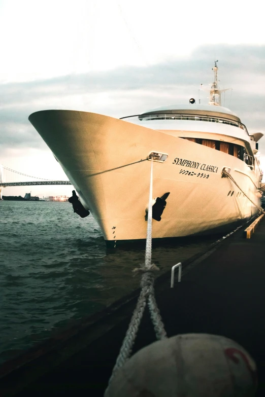 a large white boat sitting on top of a body of water, happening, san francisco, on a super yacht, boat dock, stingray