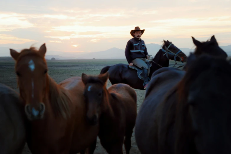 a man riding on the back of a brown horse, an album cover, by Jessie Algie, pexels contest winner, still from nature documentary, during dawn, in australia, bearded cowboy