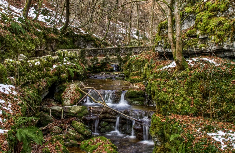 a small stream running through a lush green forest, by Thomas Häfner, pexels contest winner, renaissance, winter photograph, stone bridge, several waterfalls, very very well detailed image