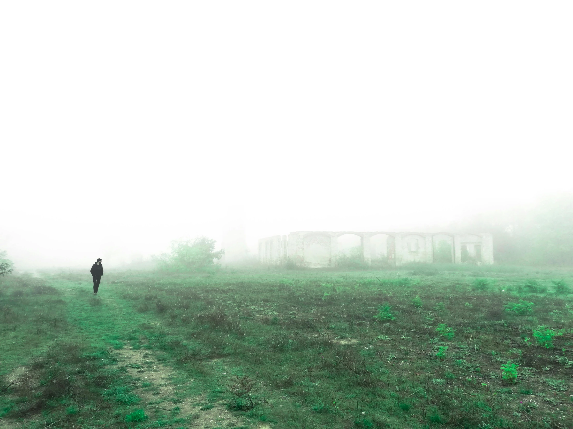 a person walking through a field on a foggy day, by Lucia Peka, romanticism, abandoned war torn village, light green mist, ignant, archival pigment print