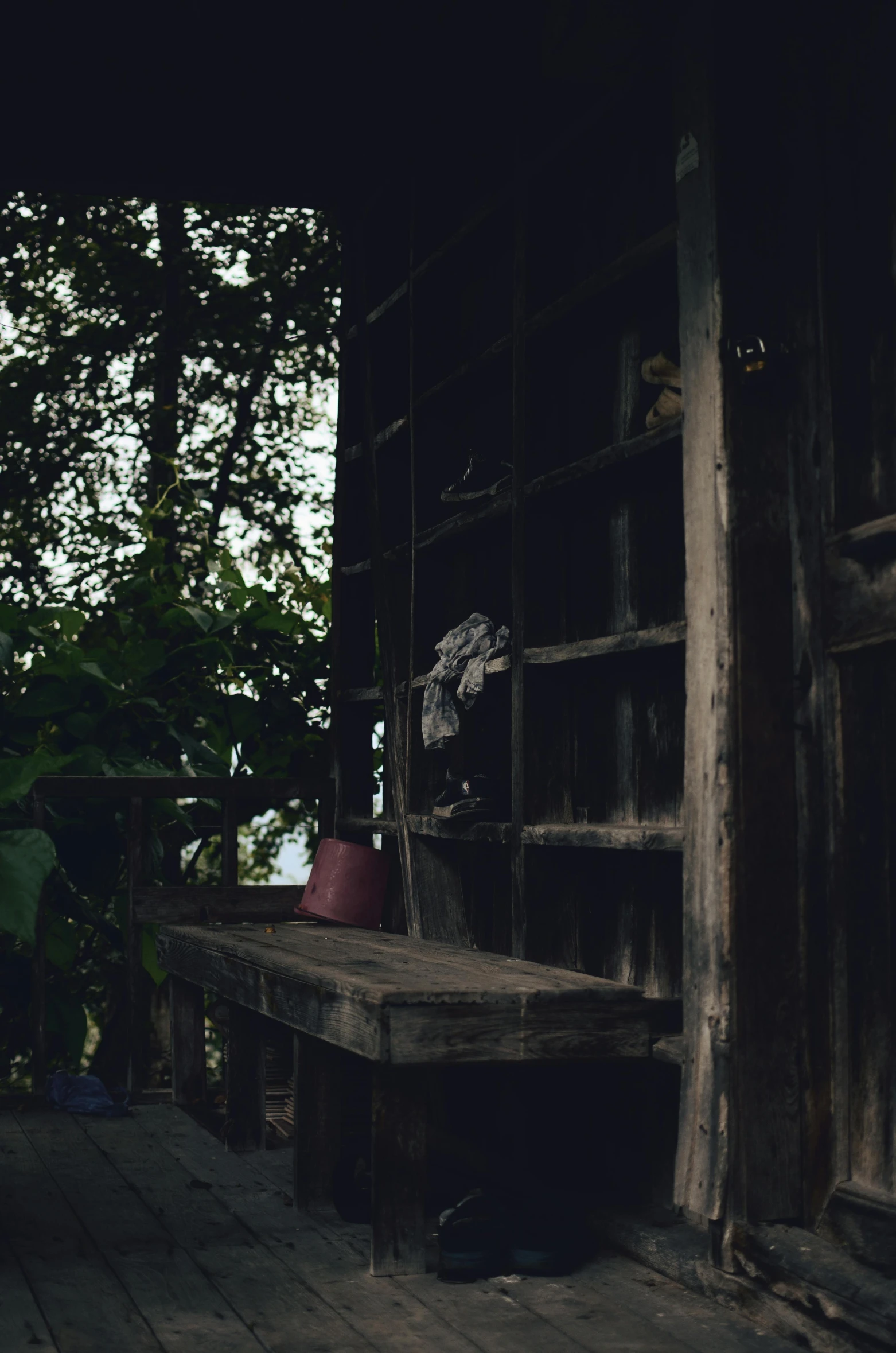 a cat sitting on a wooden porch next to a potted plant, unsplash, sumatraism, location of a dark old house, background image, shelves, in jungle