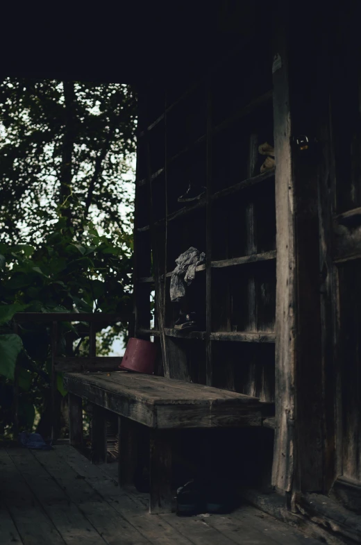 a cat sitting on a wooden porch next to a potted plant, unsplash, sumatraism, location of a dark old house, background image, shelves, in jungle