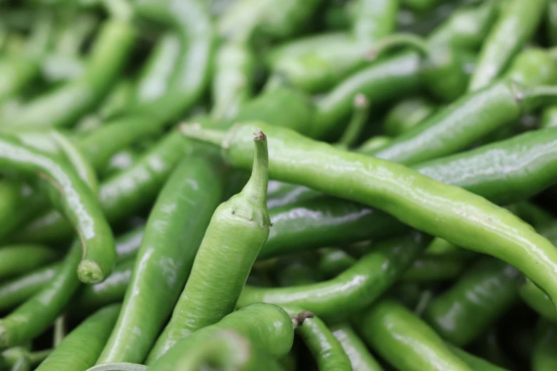 a pile of green peppers sitting on top of each other, by Carey Morris, pexels, sichuan, beans, avatar image, instagram post