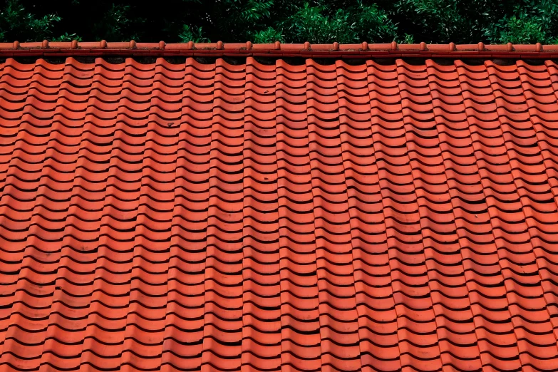 a red tiled roof with trees in the background, by Jan Rustem, agfa photo, ultra - detail, iwakura, gardening