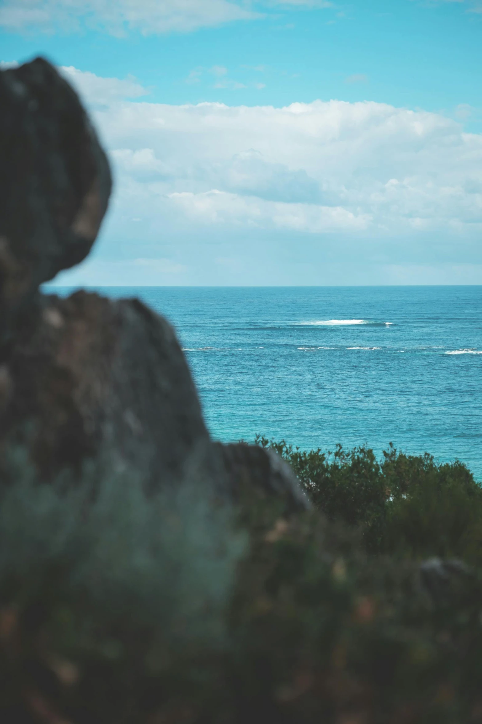a view of the ocean from the top of a hill, surfing, rocky foreground, shot from a distance, bushes in the foreground
