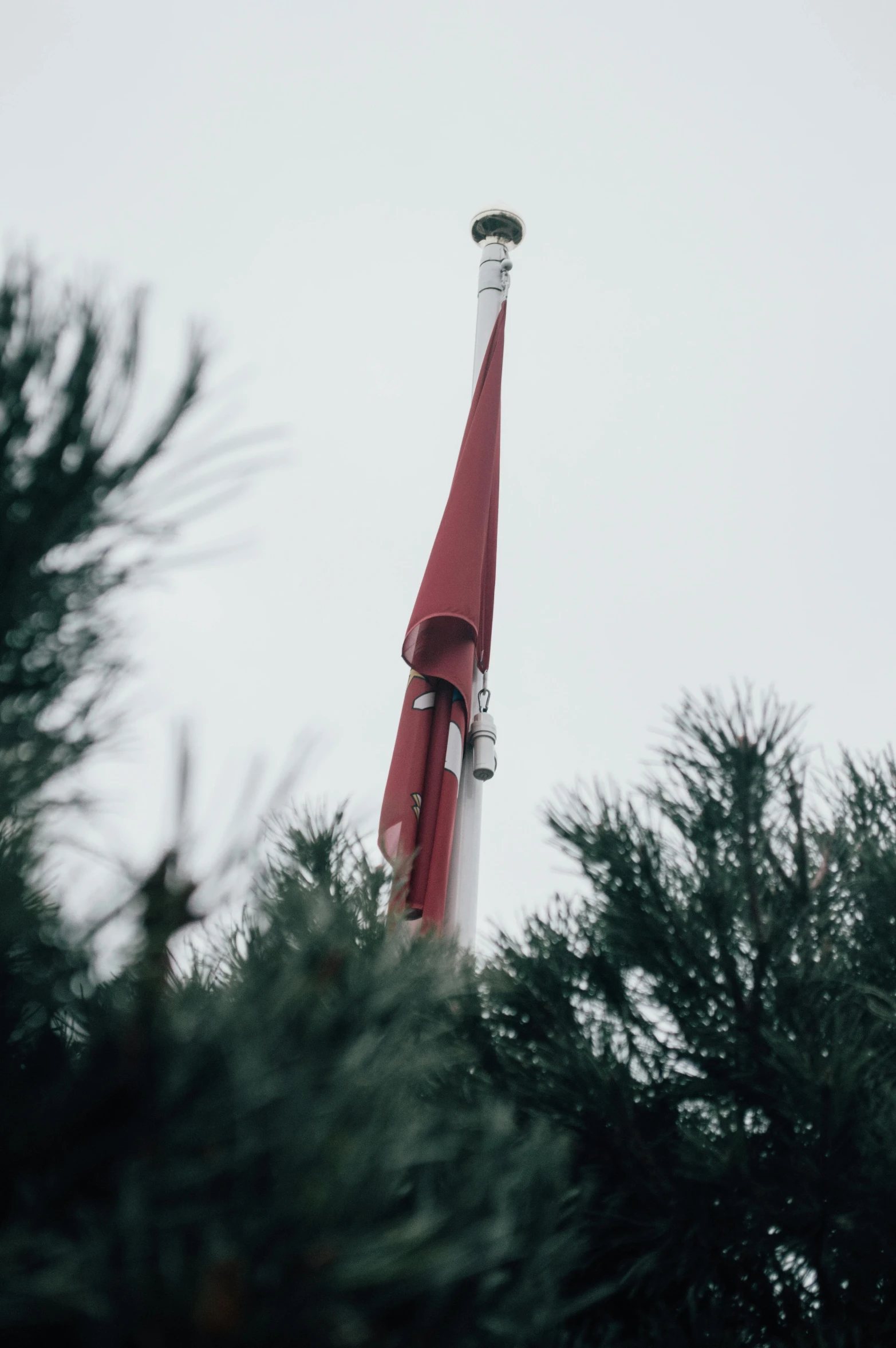 a red and white flag on top of a tree, spire, evergreen branches, low quality photo, slight overcast