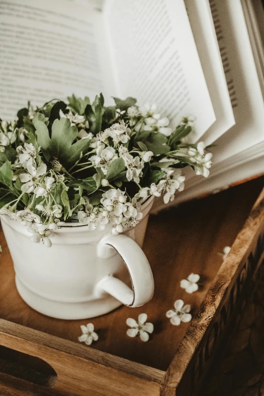 an open book sitting on top of a wooden table, a still life, pexels contest winner, romanticism, cottagecore flower garden, light greens and whites, white mug, gypsophila