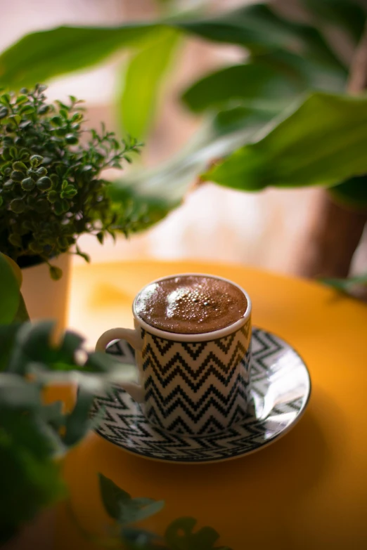 a cup of coffee sitting on top of a saucer, by Riad Beyrouti, next to a plant, hot cocoa drink, lush greens, sparkling