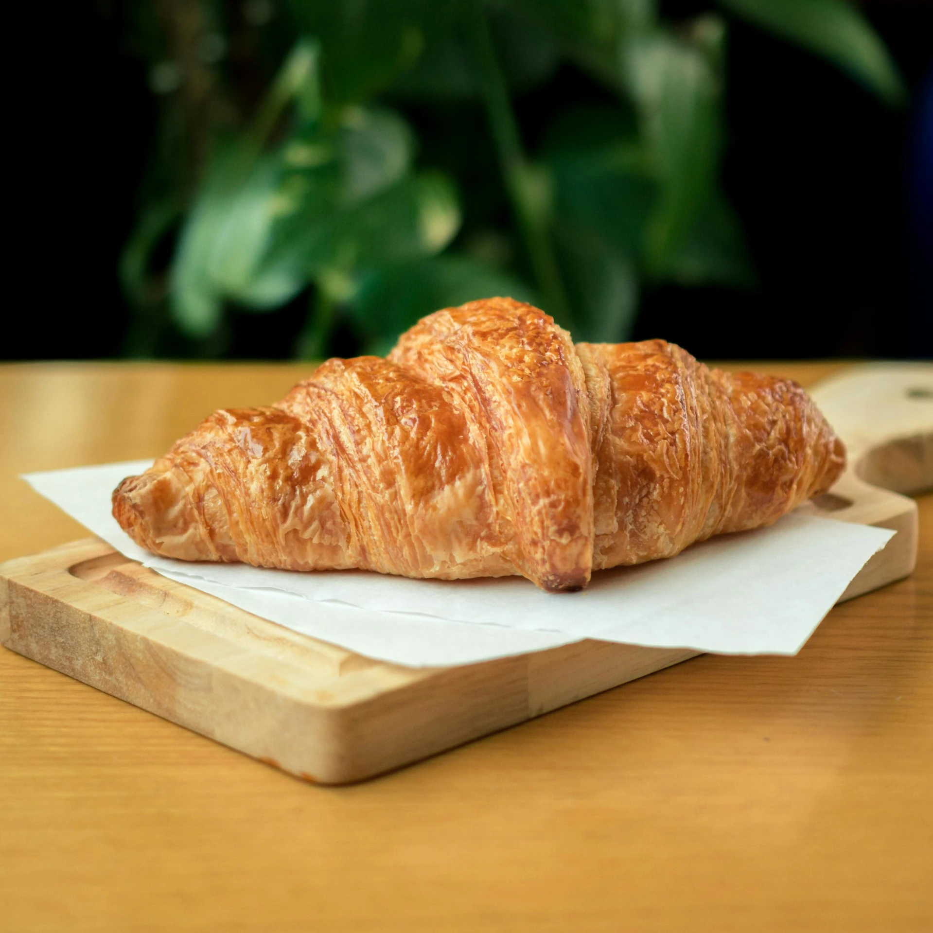 a croissant sitting on top of a wooden cutting board, a portrait, pexels, orange fluffy belly, decoration, full-body, great quality