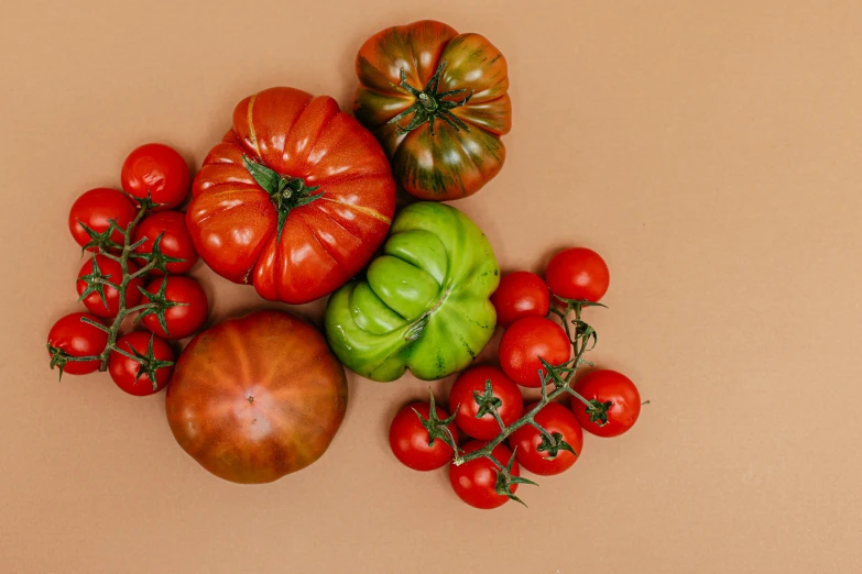 a bunch of tomatoes sitting on top of a table, muted colours, olive green and venetian red, highly upvoted, 🦩🪐🐞👩🏻🦳