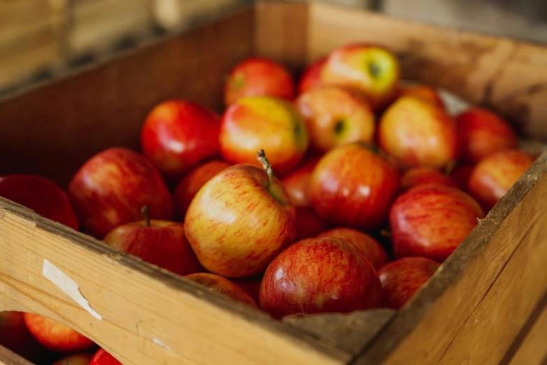 a wooden box filled with lots of red and green apples, by Niko Henrichon, pexels, fan favorite, manuka, petite, fall