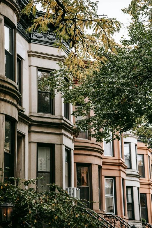 a row of brownstone houses on a city street, a photo, by Nina Hamnett, unsplash contest winner, trees growing on its body, ignant, vibrant but muted colors, exterior view