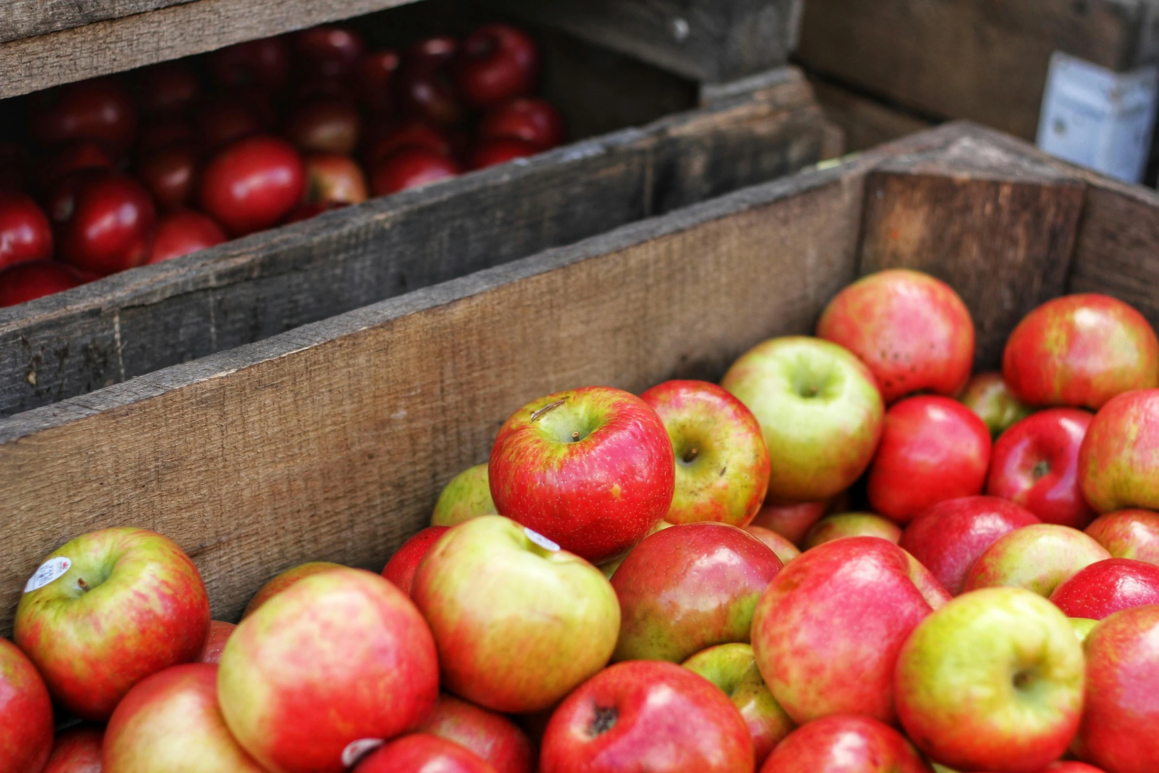 a wooden crate filled with lots of red and green apples, by Julian Hatton, pexels, 💋 💄 👠 👗, performing, autumn, grain”