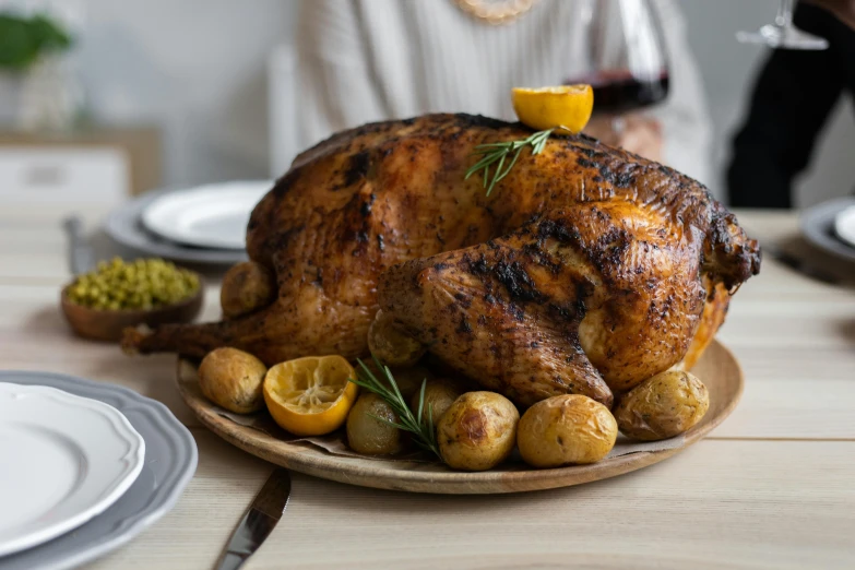 a close up of a plate of food on a table, turkey, profile image, viewed from the side