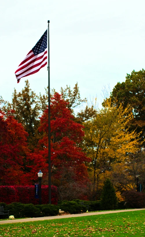 a red fire hydrant sitting on top of a lush green field, colorful autumn trees, us flag, college, slide show