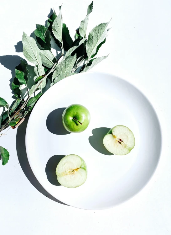 a white plate topped with green apples next to leaves, inspired by Art Green, unsplash, ignant, crisp clean shapes, super high resolution, herbs