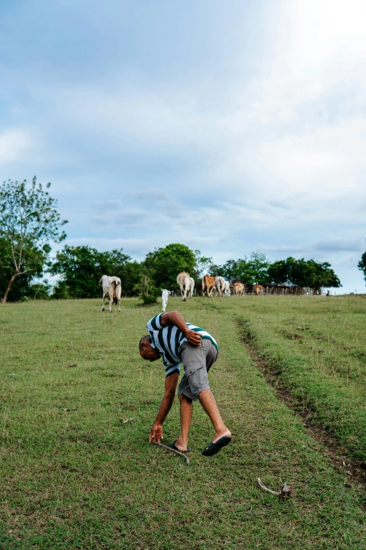 a man standing on top of a lush green field, cuba, random cows, stretching her legs on the grass, kids playing