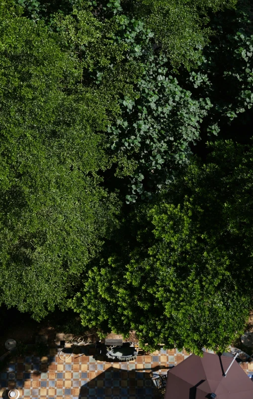 a man riding a motorcycle down a street next to a lush green forest, by Peter Churcher, pexels, 2 d overhead view, panorama, overgrown foliage, cinematic shot ar 9:16 -n 6 -g