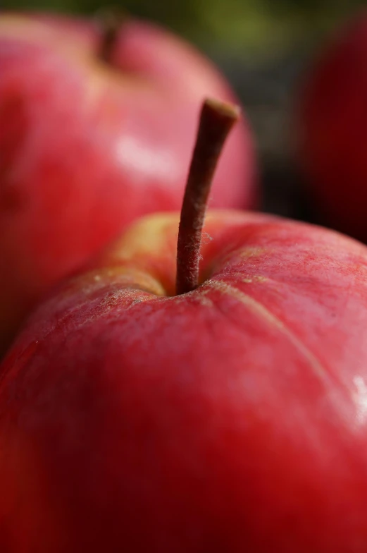 a pile of red apples sitting on top of a table, zoomed in, shot with premium dslr camera, taken with sony alpha 9, 2 5 6 x 2 5 6 pixels