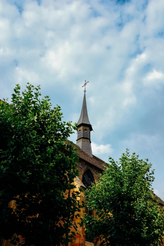 a clock that is on the side of a building, a photo, by Jan Tengnagel, unsplash, romanesque, roof with vegetation, lead - covered spire, with a tall tree, marilyn church h