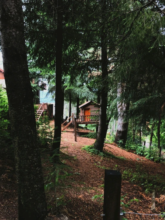 a red fire hydrant sitting in the middle of a forest, a picture, cozy treehouse bedroom, iphone photo, located in hajibektash complex, he is at camp