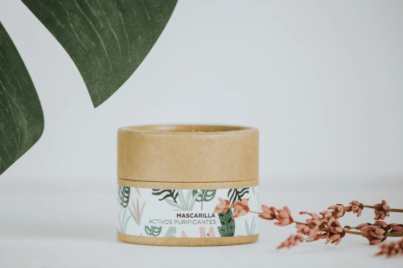 a jar of macalla cream next to a plant, a picture, by Olivia Peguero, hurufiyya, dust mask, detailed product image, modelling clay, frontal shot