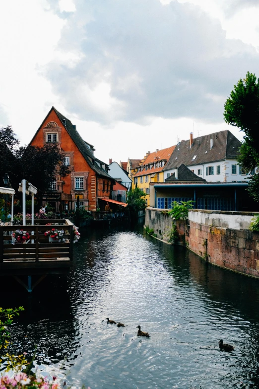 a group of ducks floating on top of a river, heidelberg school, white buildings with red roofs, & a river, lush, hygge