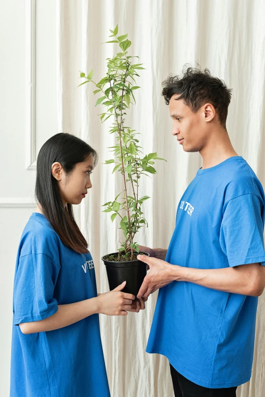 a man standing next to a woman holding a potted plant, blue shirt, facing each other, wearing a t-shirt, blue bonsai