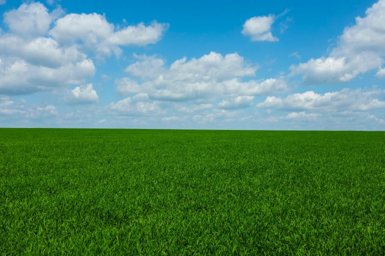 a field of green grass under a blue sky, unsplash, high resolution ultradetailed, farm, equirectangular, high-resolution