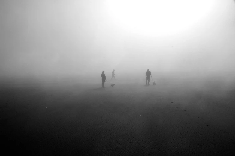 a group of people walking through a foggy field, a black and white photo, pexels contest winner, conceptual art, smog on the floor, scary shadow people, no people 4k, volcano fog