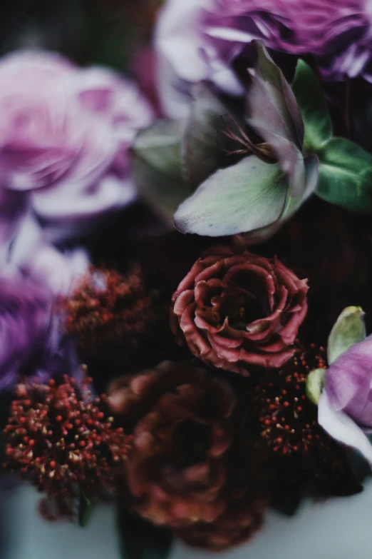 a vase filled with purple and red flowers, trending on unsplash, dark and ethereal, detail shot, delicate embellishments, brown flowers