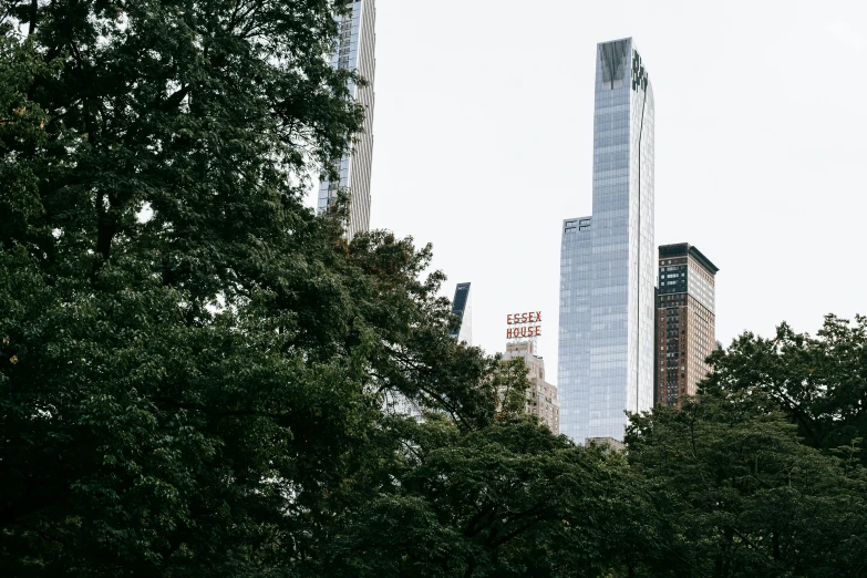 a group of people sitting on top of a lush green field, an album cover, inspired by Thomas Struth, unsplash contest winner, visual art, new york buildings, city buildings on top of trees, ignant, julia hetta