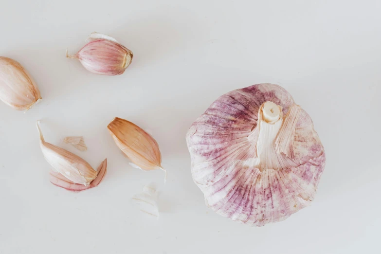 garlic cloves and cloves of garlic on a white surface, trending on pexels, lavender blush, fan favorite, half image, enamel