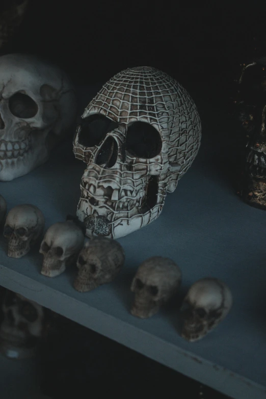 a shelf with a bunch of skulls on it, pexels contest winner, profile image, gothic aesthetic, geometry, resin