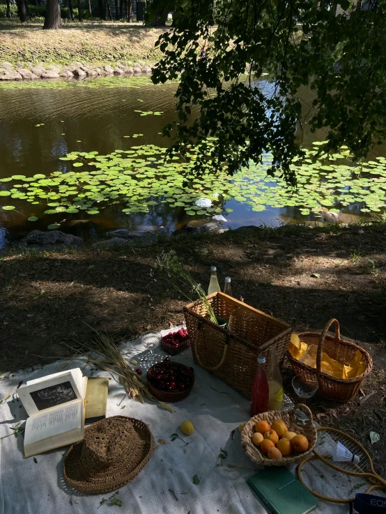 a picnic blanket on the ground next to a body of water, inspired by Konstantin Somov, land art, breakfast at las pozas, nymphaea, gourmet and crafts, photograph taken in 2 0 2 0