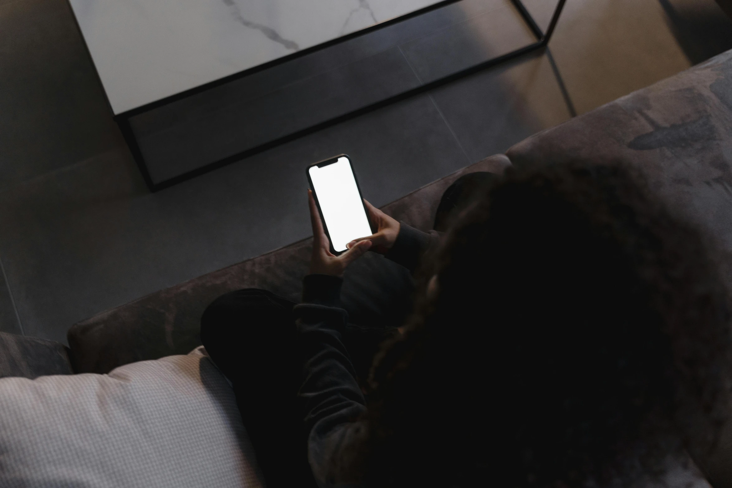 a woman sitting on a couch using a cell phone, by Emma Andijewska, trending on pexels, realism, faceless people dark, high angle, rectangle, minimalistic