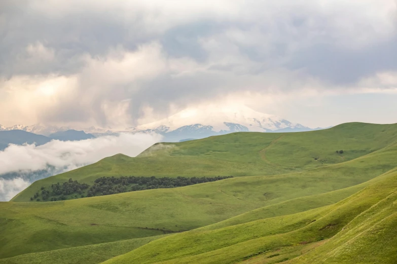 a herd of cattle standing on top of a lush green hillside, by Muggur, unsplash contest winner, renaissance, snowy peaks, 4 k cinematic panoramic view, distant mountains lights photo, georgic