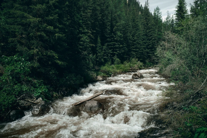 a river running through a forest filled with trees, unsplash contest winner, hurufiyya, colorado, 2 5 6 x 2 5 6 pixels, violent stormy waters, chemistry