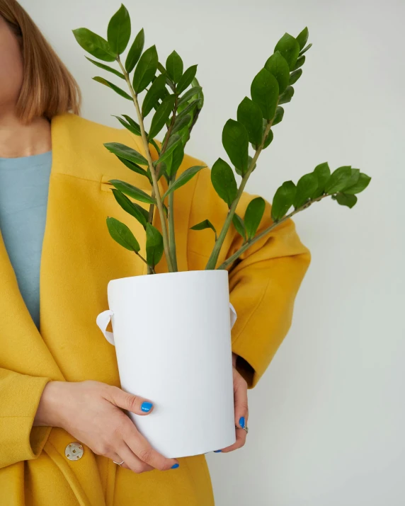 a woman in a yellow coat holding a potted plant, inspired by Henri Rousseau, unsplash, bright white porcelain, holding gift, product introduction photo