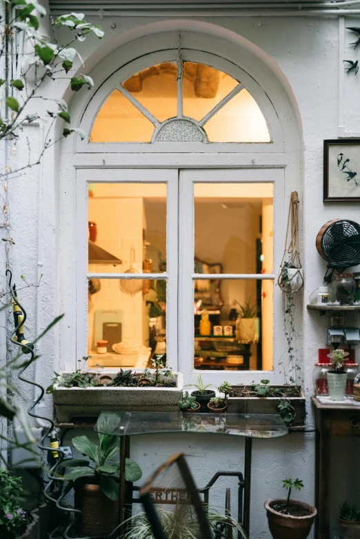 a room filled with lots of potted plants, pexels contest winner, light and space, shop front, winter setting, small kitchen, french door window