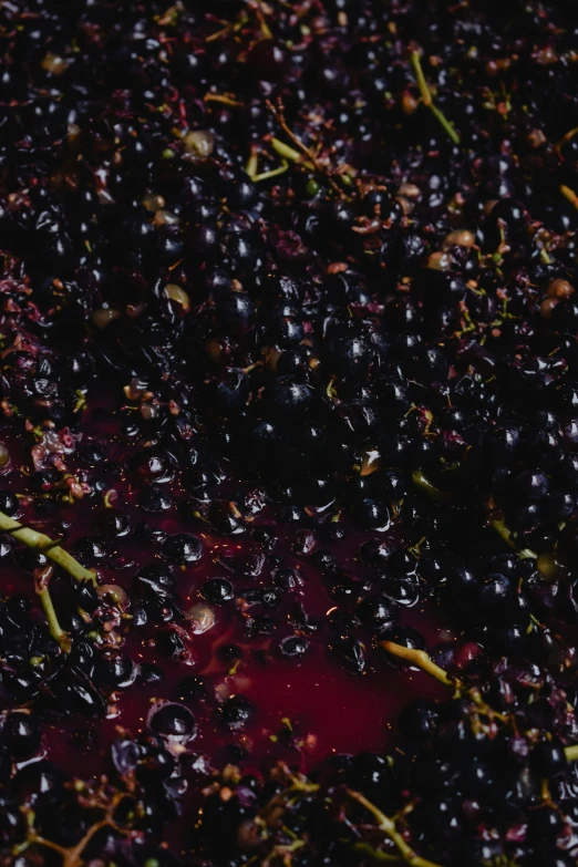 a pan filled with blackberries sitting on top of a table, an album cover, by Elsa Bleda, reddit, translucent grapes closeup, intricate oil details, wine label, full frame image