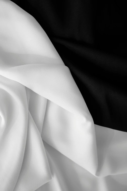 a black and white photo of a white rose, a black and white photo, inspired by Patrick Pietropoli, unsplash, symbolism, military flags, draped in flowing fabric, solid colours material, image split in half