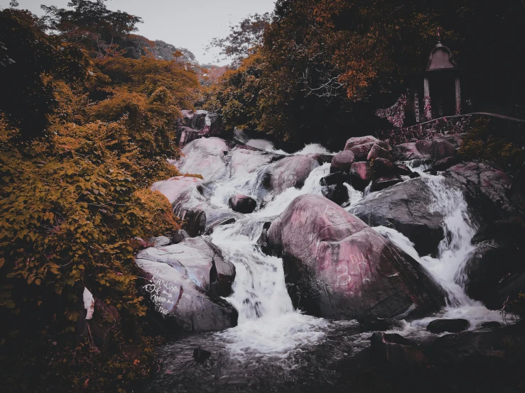 a river running through a lush green forest, by Matteo Pérez, pexels contest winner, with jagged rocks & eerie, pink waterfalls, vintage photo, thumbnail