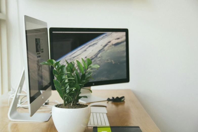 a computer monitor sitting on top of a wooden desk, trending on pexels, large potted plant, green and white, technological screens, intricately defined