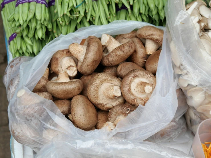 a bunch of mushrooms sitting on top of a table, high quality product image”, nuttavut baiphowongse, thumbnail, street market