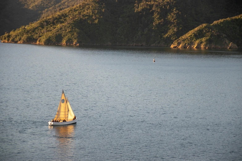 a small sailboat in the middle of a large body of water, manuka, picton blue, golden light, ignant