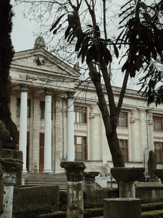 a building with columns and a tree in front of it, inspired by Pál Balkay, pexels contest winner, neoclassicism, gloomy library, 💋 💄 👠 👗, freddy mamani silvestre facade, istanbul