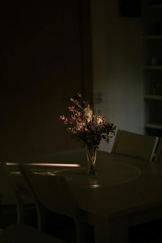 a vase of flowers sitting on top of a table, inspired by Elsa Bleda, light and space, spooky lighting, lit in a dawn light, foreboding room, soft light - n 9