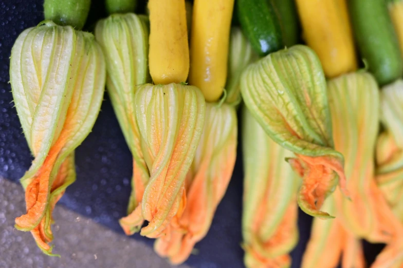 a bunch of yellow and green zucchini flowers, by Carey Morris, unsplash, striped orange and teal, square, vendors, fan favorite