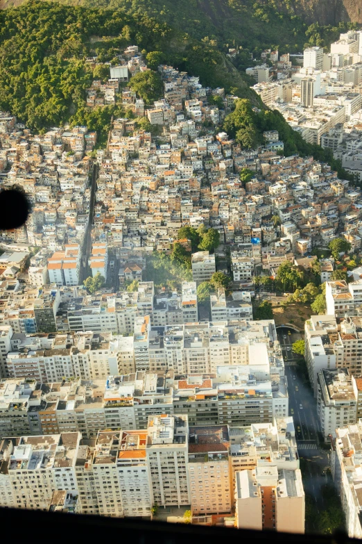 a cat sitting on top of a window sill looking at a city, an album cover, pexels contest winner, happening, view from helicopter, rio de janeiro favela, flying towards the camera, city buildings on top of trees